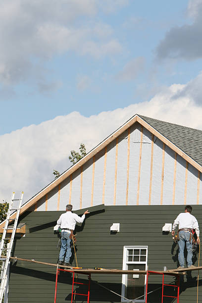 Best Custom Trim and Detailing for Siding  in Seymour, IN