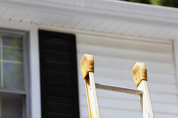 Best Custom Siding Design  in Seymour, IN